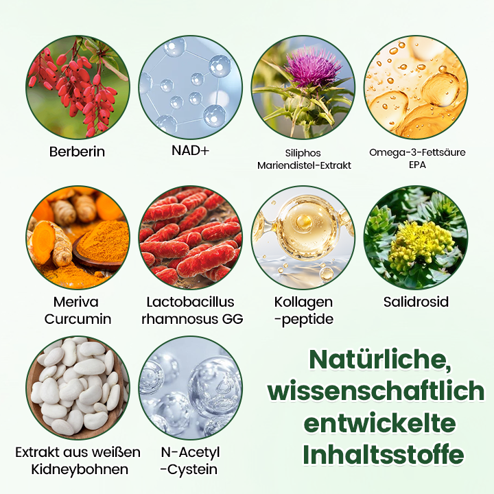 Offizieller Store | ☀️☀️ Timilk® Moringa · Berberine + NAD+ 10-in-1 Nano-Mikronadelpflaster(Nur einmal täglich – sichtbare Veränderungen innerhalb von 7 Tagen)🔥❤️