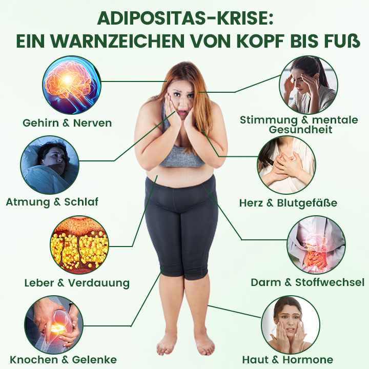 Offizieller Store | ☀️☀️ Timilk® Moringa · Berberine + NAD+ 10-in-1 Nano-Mikronadelpflaster(Nur einmal täglich – sichtbare Veränderungen innerhalb von 7 Tagen)🔥❤️
