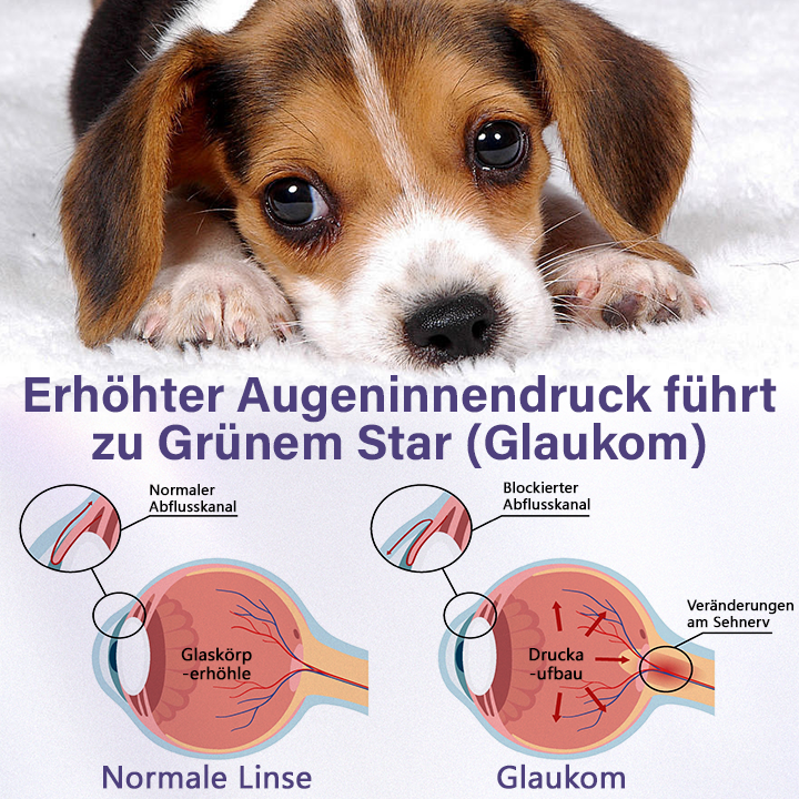Timilk® NanoCare Augentropfen für Haustiere 🔥